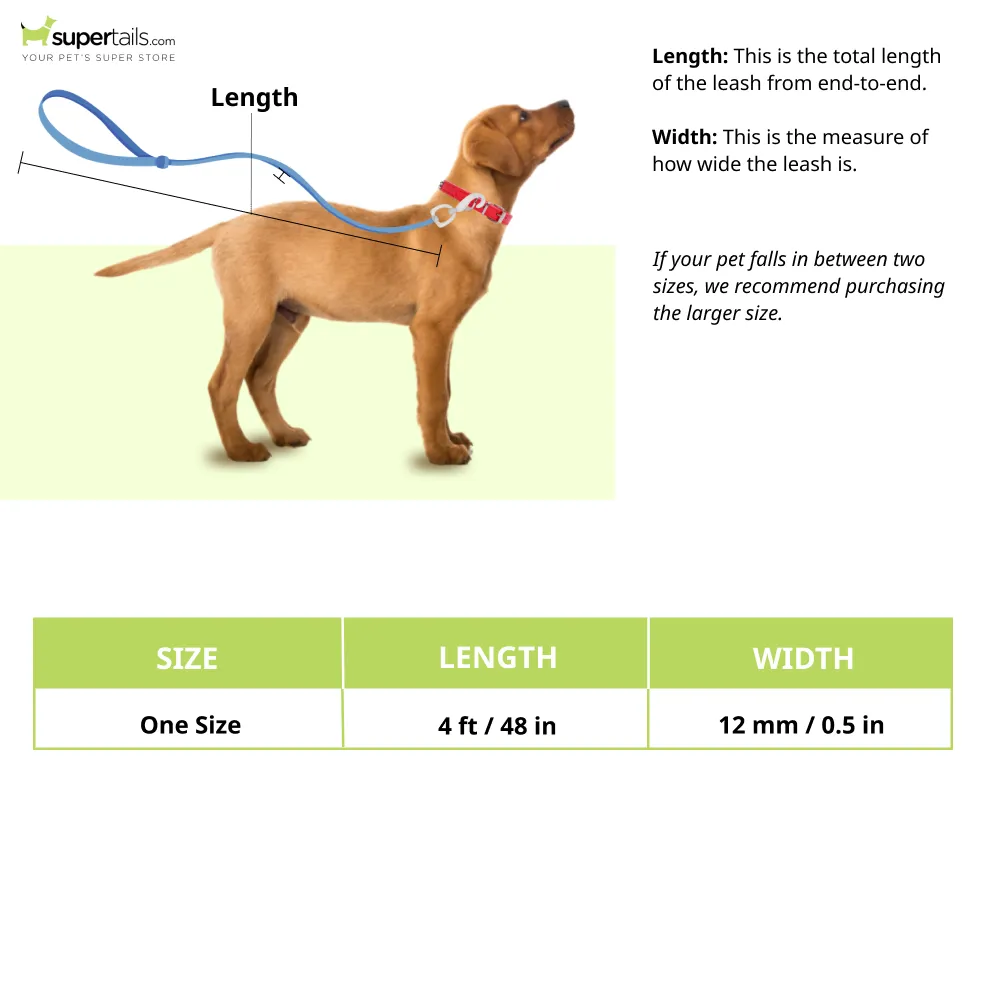 Basil Shock Absorbing Stretch Leash for Dogs